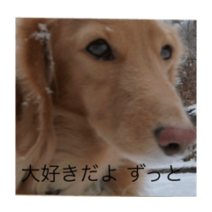 family_20190527092613