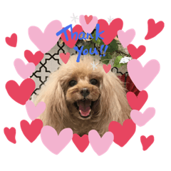 JUNKO_20190527235321