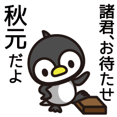 Akimoto Penguin Sticker