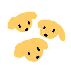 cute golden dog