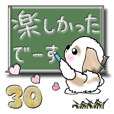 【大きめ文字】シーズー犬(普段使う言葉)30