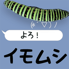 Hello! It is a caterpillar
