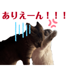 Tsuki & Hana Stamps Basic