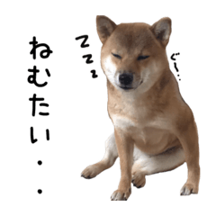 miyabi_20190527012742