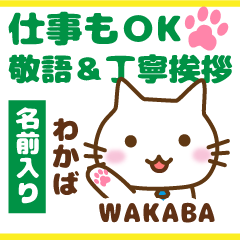 WAKABA:Polite greetings.Animal Cat