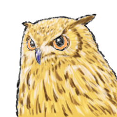A little realistic owl Sticker