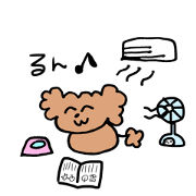 HOT toypoodle