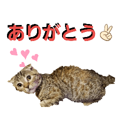 我が家のミッキー。日常使いスタンプ。