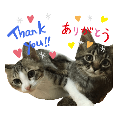 Smile_20190528161345