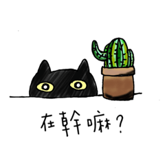 bao jian the black cat