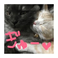 Judy&moppy