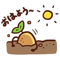 Daily Potatoes 2 (Daily Use, Japanese)