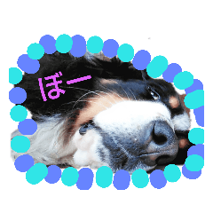 ponta_20190529021051