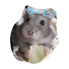 RIKU_20190528230432