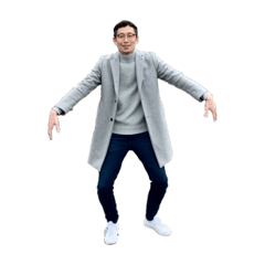 Pippisan