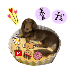 哈先生&哈小姐1