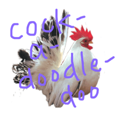 Kokoko cococo
