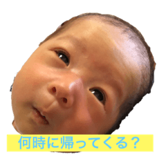 tonton_20190529121322