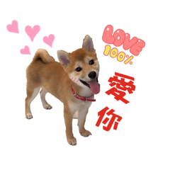 我叫憨吉