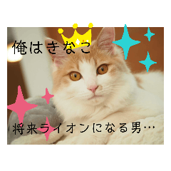 pon_20190529132023