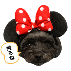 arisa_20190530144322