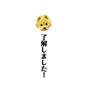Pomeranian.Monchan5