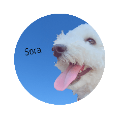 sora'sstamps
