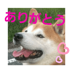 ponta_20190530064935
