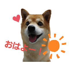 iku_20190530131031