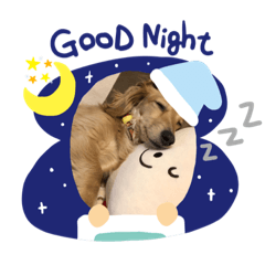 Kurumi_20190530005947