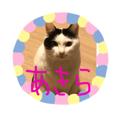 rinrin_20190530010335