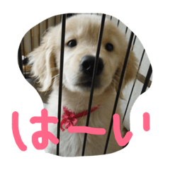 rinrin_20190530000143