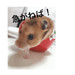 akane_20190529222726