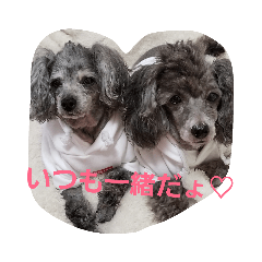 ryu_20190530100737