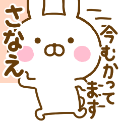 ☆さなえ☆が使う敬語名前スタンプ