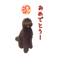 Mu_20190529210902