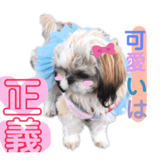 dog stamp honey