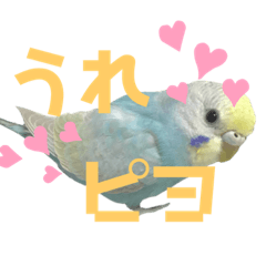 Cute birds stamps