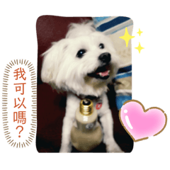萌樂疑問❓