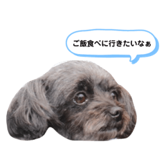 arisa_20190530162103