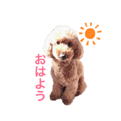 cocoa_20190530182436