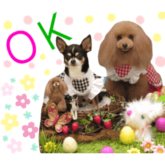 Toko_20190531115311