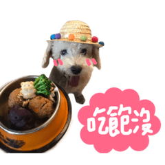 奶油小生介紹mango