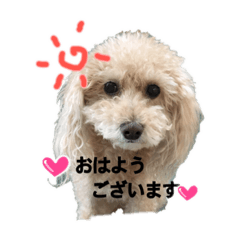 pon_20190531112151