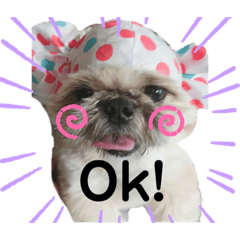 AYUMI_20190530235503