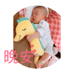 小粉圓日常生活1