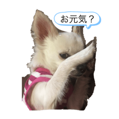RinRin_201905271717598