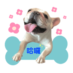 三個屁的呼嚕嚕生活