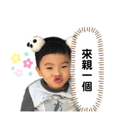 胖胖1.0（日常篇）