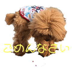 haruru_20190531064450